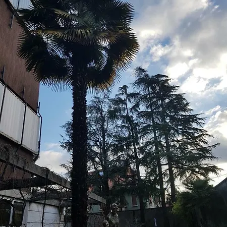 Affittacamere Un Passo Avanti *